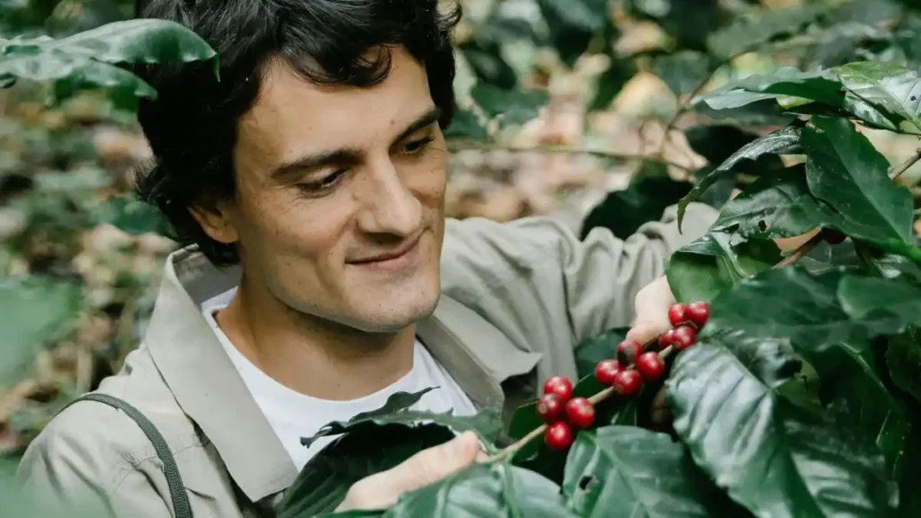 Carreira em Agronomia_ O Guia Completo Sobre a Profissão e Suas Oportunidades