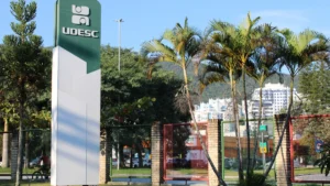 Cotas Raciais em Debate: STF Analisa Lei de SC e o Futuro da Inclusão