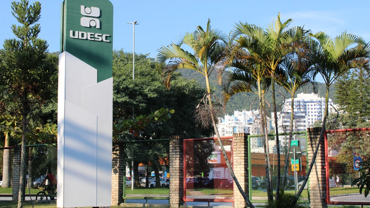 Cotas Raciais em Debate: STF Analisa Lei de SC e o Futuro da Inclusão
