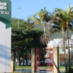 STF e o Futuro das Cotas Raciais no Ensino Superior Brasileiro