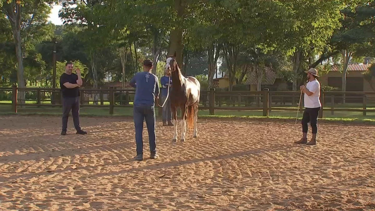 Expo Agro: Tradição e Inovação Impulsionam o Agronegócio Brasileiro
