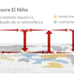 Agro Brasileiro: Desafios Climáticos e Econômicos Moldam o Futuro do Campo